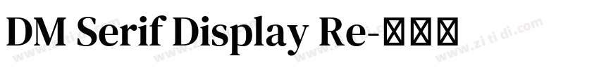DM Serif Display Re字体转换